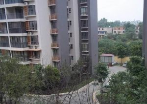 桂景花城2室1厅东