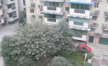 和平小区3室3厅东南西南