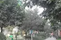 澳深天健园实景图