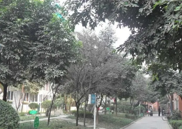 澳深天健园实景图