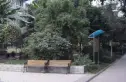 澳深天健园实景图
