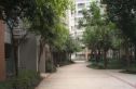 建设南新路80号院实景图