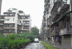 八二宿舍二区 2室2厅 南