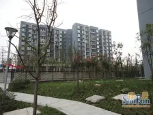 此房视野开阔,业主诚心卖,朝南,采光好,总价低