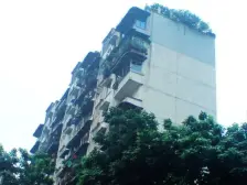 石坪桥 石坪桥后街一房