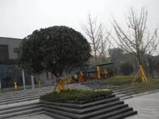 轻轨旁+配套齐全+户型好+业主急售