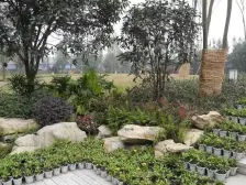 轻轨5号线金建路站200米+户型好+业主急售