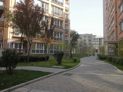 小区相关图