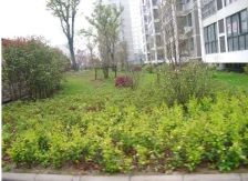 尚德城邦,运河边,带18平车库加一个人防汽车位。