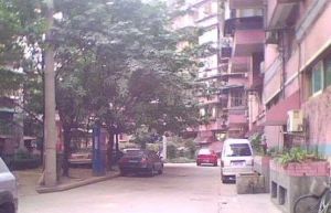 银通苑 3室2厅 南