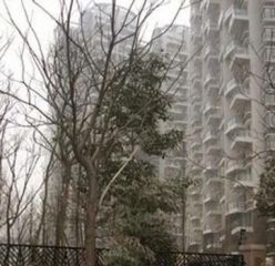 华天阳光2室2厅南