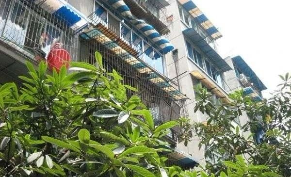 万年场横街17号院实景图