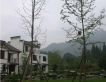 金色怡园实景图