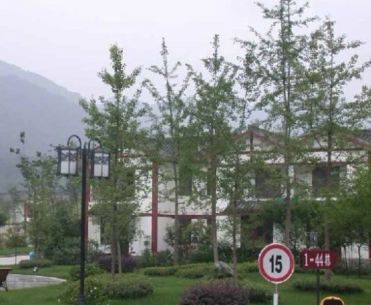 金色怡园实景图