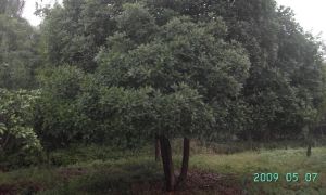 幸福风景 3室1厅 南