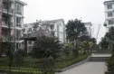 鹤舞青城实景图