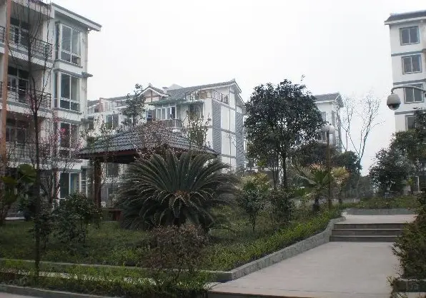 鹤舞青城实景图
