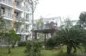 鹤舞青城实景图