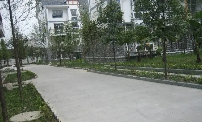 鹤舞青城实景图