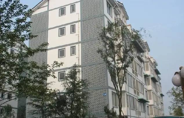 鹤舞青城实景图