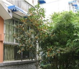 岷江河畔 4室2厅 南 北