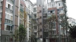 随园3室2厅南