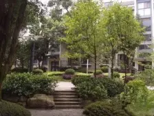 南山风景区 南山别院精装修小别墅 带家具家电急售