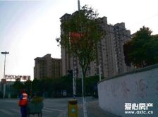 此房户型方正,南北敞亮,楼层好