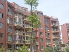 东方海悦花园5室2厅·联排边户带院子·全新毛坯·看房有钥匙·