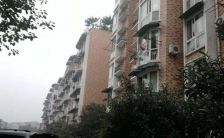 丽景花园3室2厅南