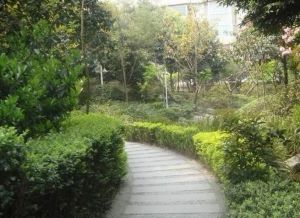 西蜀皓月3室2厅西南