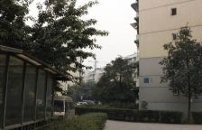 泉水南苑1室1厅南