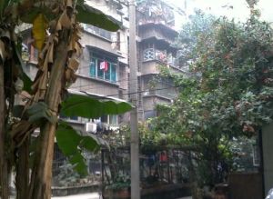 张家巷99号 2室1厅 东南 南