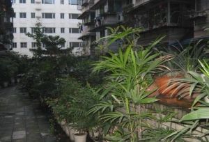 张家巷99号 1室1厅 南