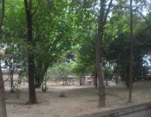 饮马河街13号2室1厅西南