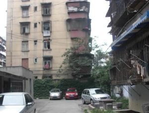 抚琴西路238号3室1厅西南