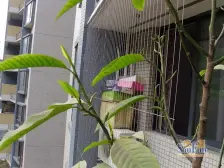 巴山星韵 2室1厅 东南