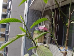 地铁五号线旁一室,视野采光好,户型方正,视野开阔。