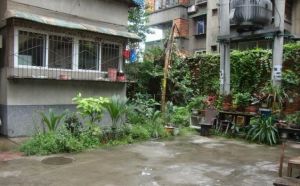吉苑小区3室2厅南