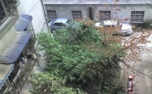抚琴西南街45号2室1厅东南