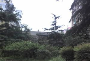 蜀汉路31号 3室2厅 东南