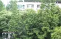 九里园实景图