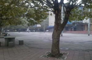 沙河源街道川建社区2室2厅南