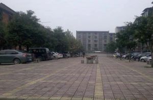 沙河源街道川建社区 2室2厅 南
