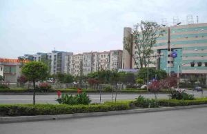 金水苑 3室2厅 南