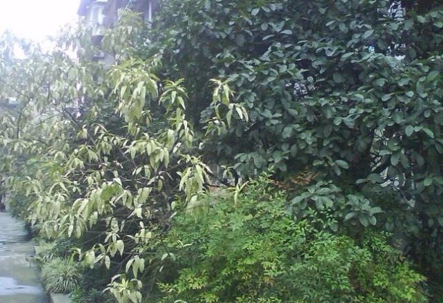 署袜北一街社区实景图