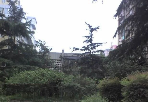 署袜北一街社区实景图