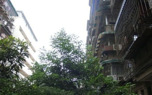 署袜北一街社区实景图