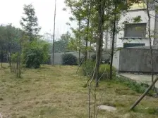 谢家湾 大鼎第一时间B区二房83万