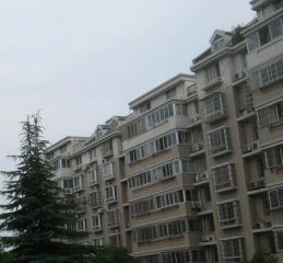 近华府八佰伴大树金港湾好楼层城南好地段